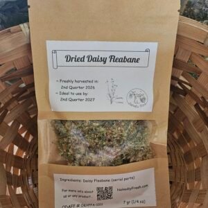 Daisy Fleabane, dried