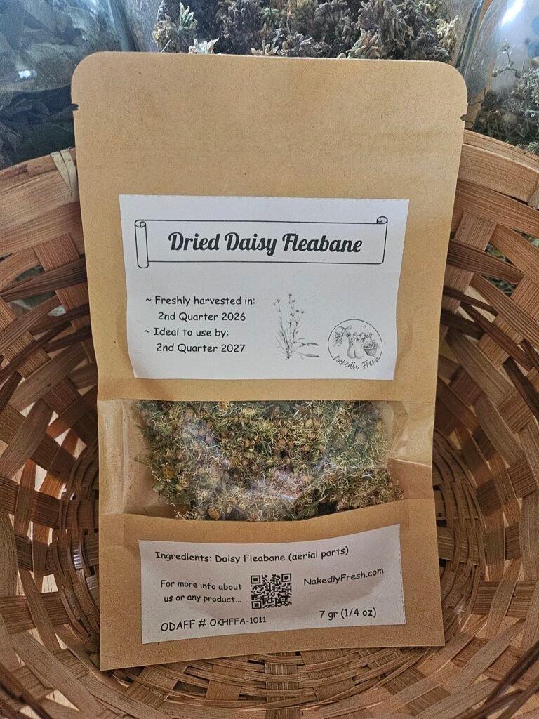 Daisy Fleabane, Dried