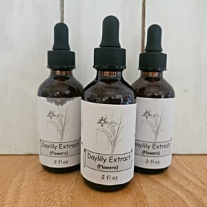 Daylily Extract