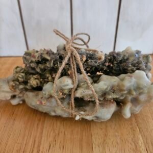 Mullein Torches
