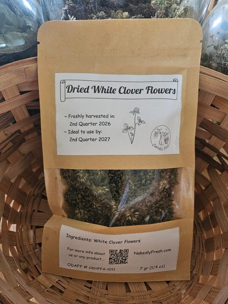 White Clover, Dried